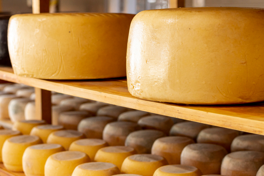 grana padano scelto forma